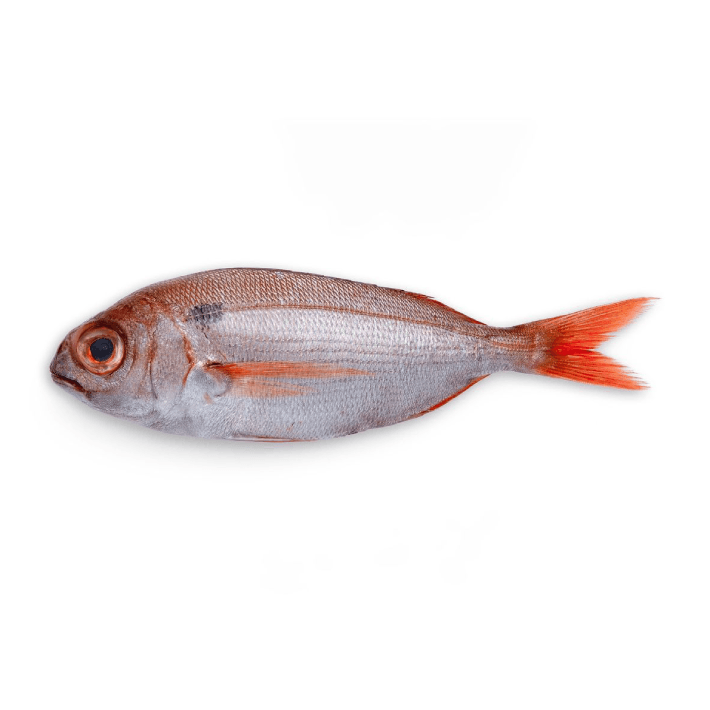 POISSON ROUGE ( ZITRILI ) 1KG